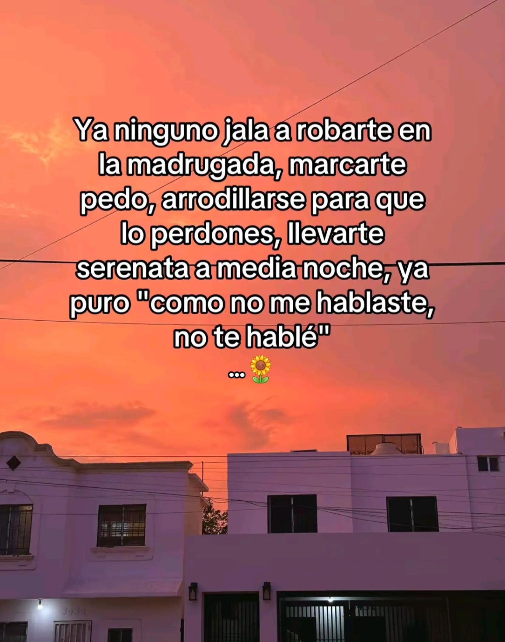 @🌻 Nalle 🌻