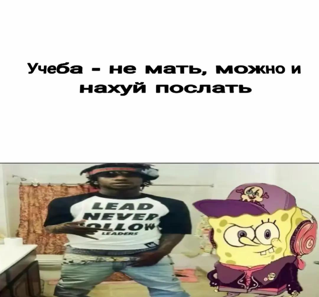@halop