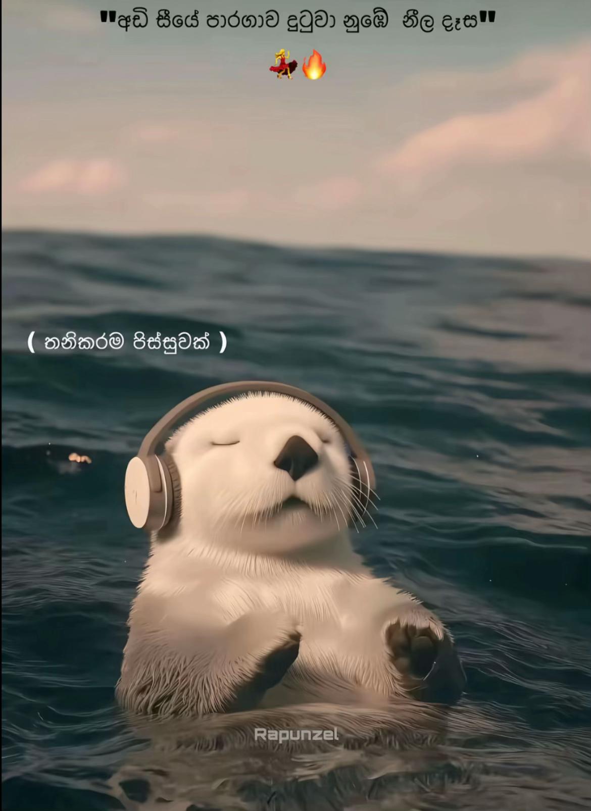 @๋์ฌ๋ผ๐