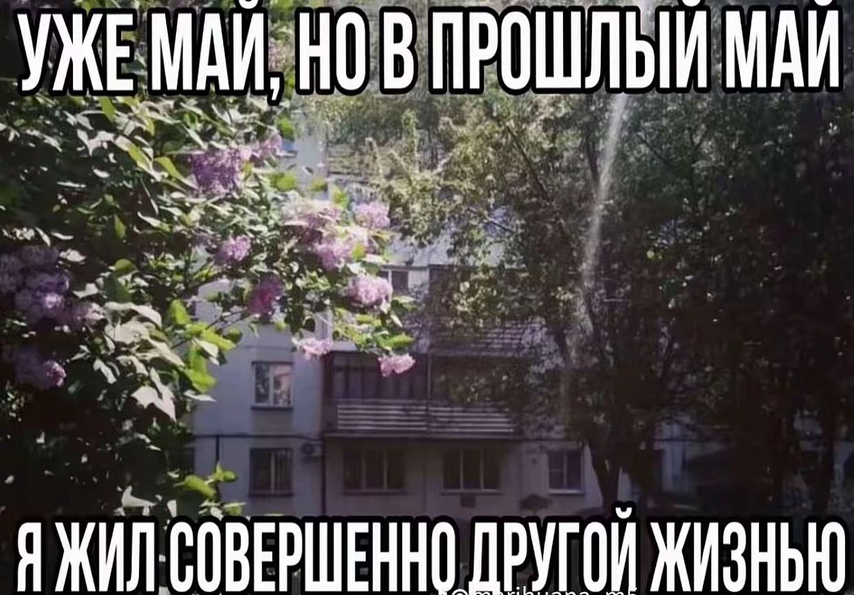 @диша киса