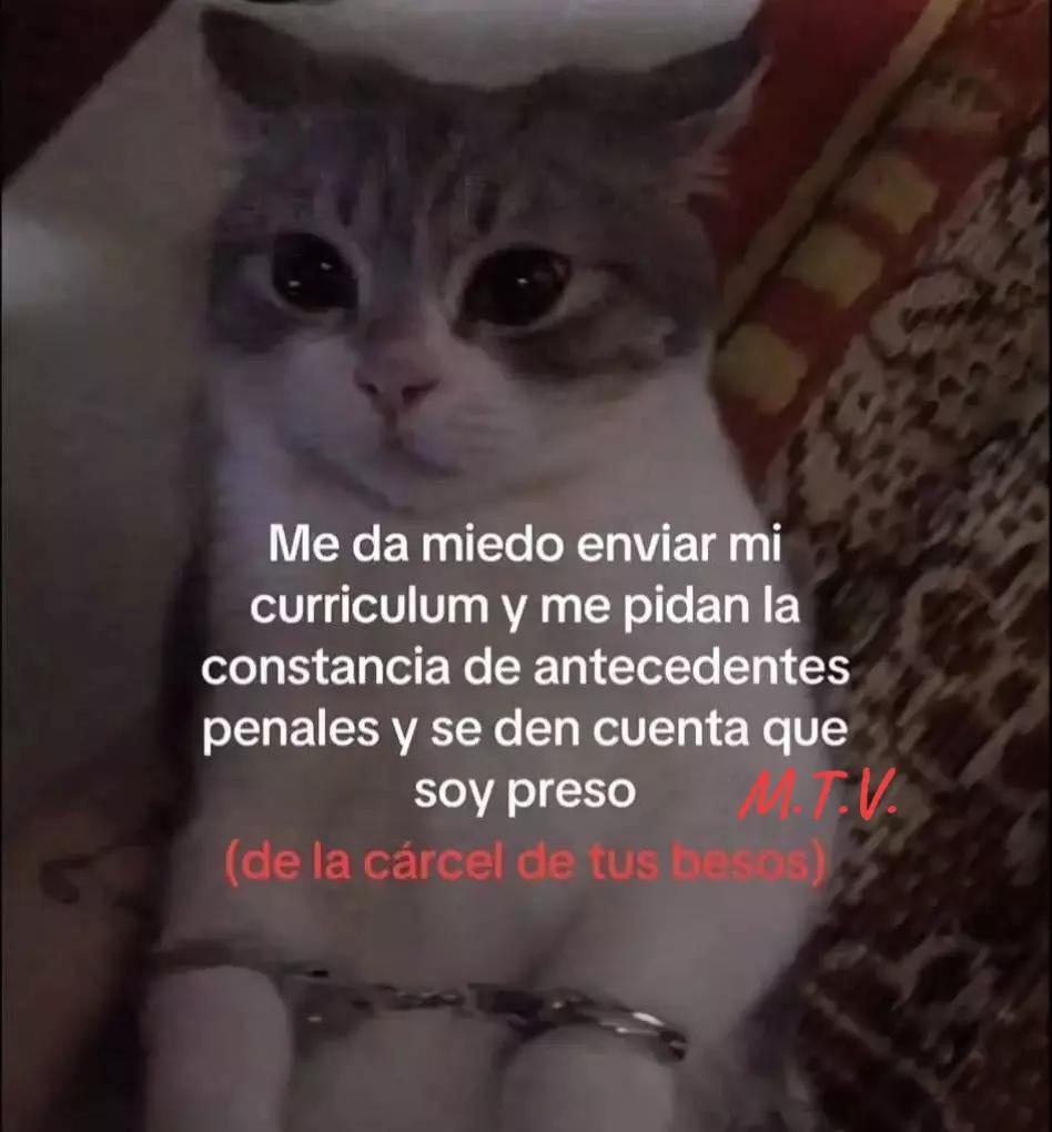 @Mireya M.T.V