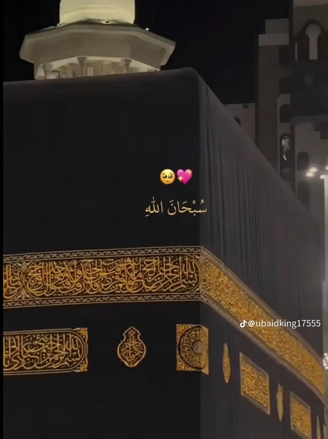 @HUMAIR. 46🐯🐯