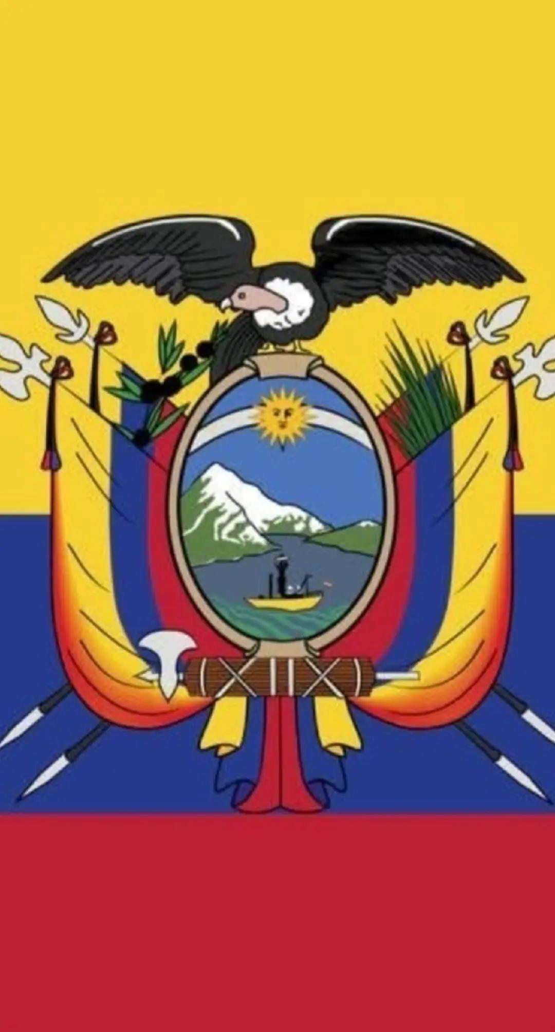 @rolandocaseres180