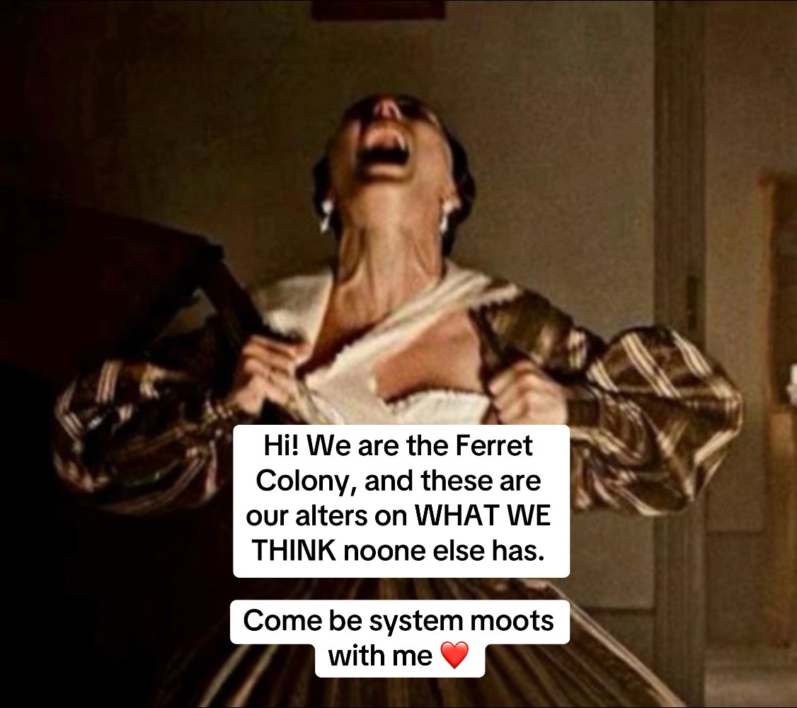 @✨ꨄThe Ferret Colonyꨄ✨