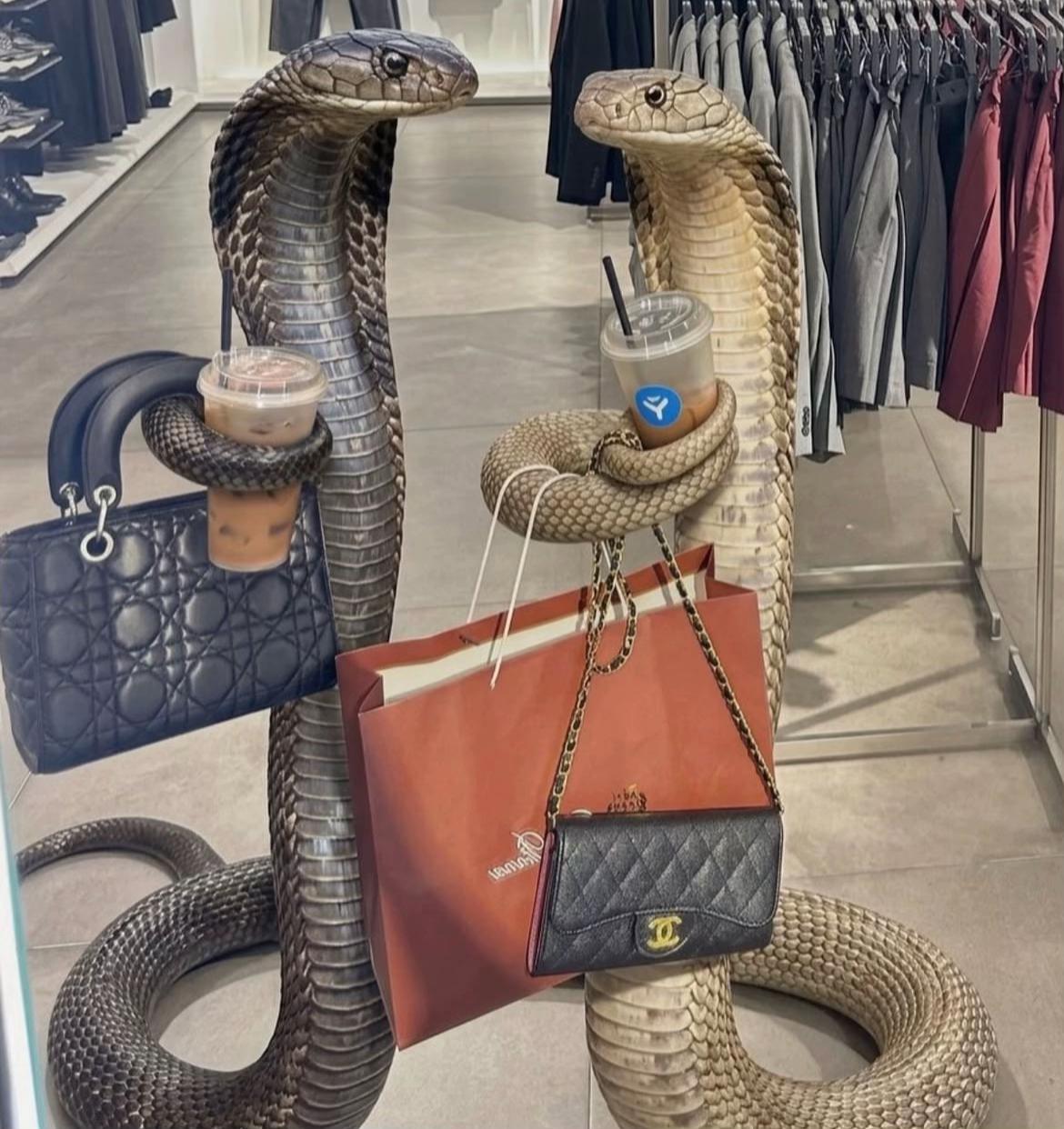 @Теачка 🐍