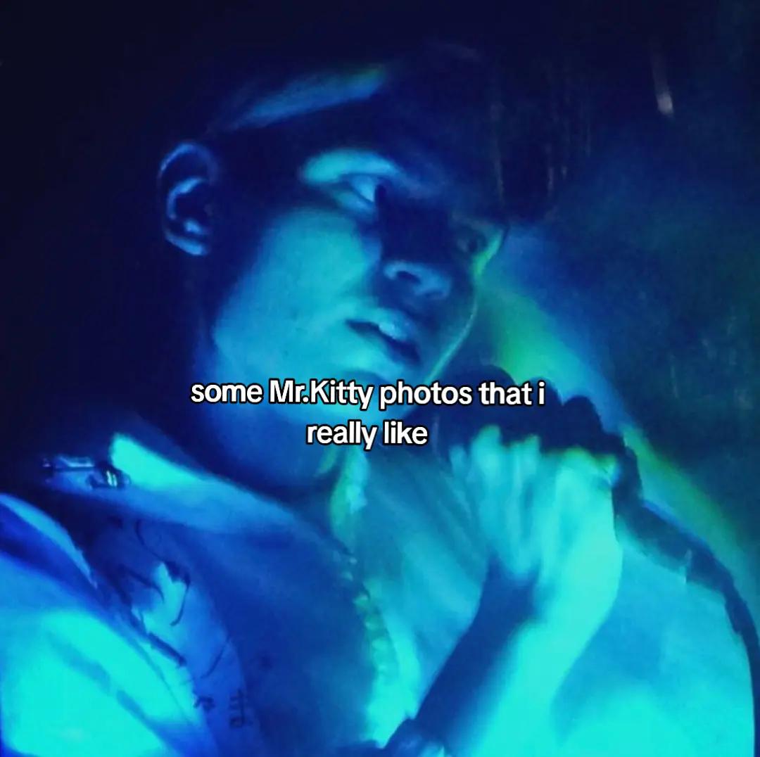 @Daily Mr.Kitty