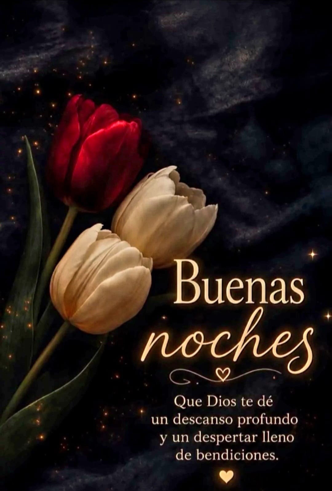 @elvirasvg