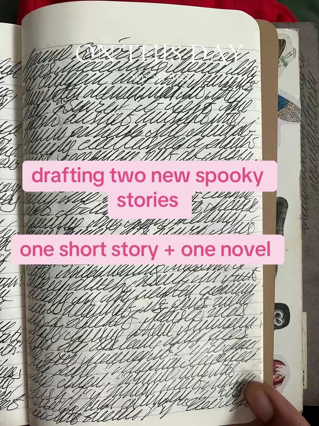 @Dylan | Writer | CC 📚🦋