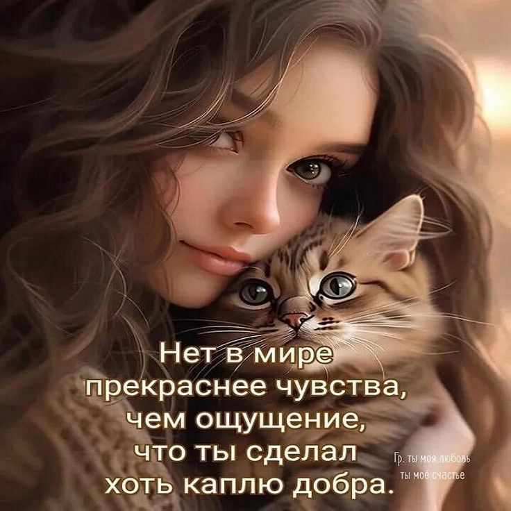 @Ludmila B