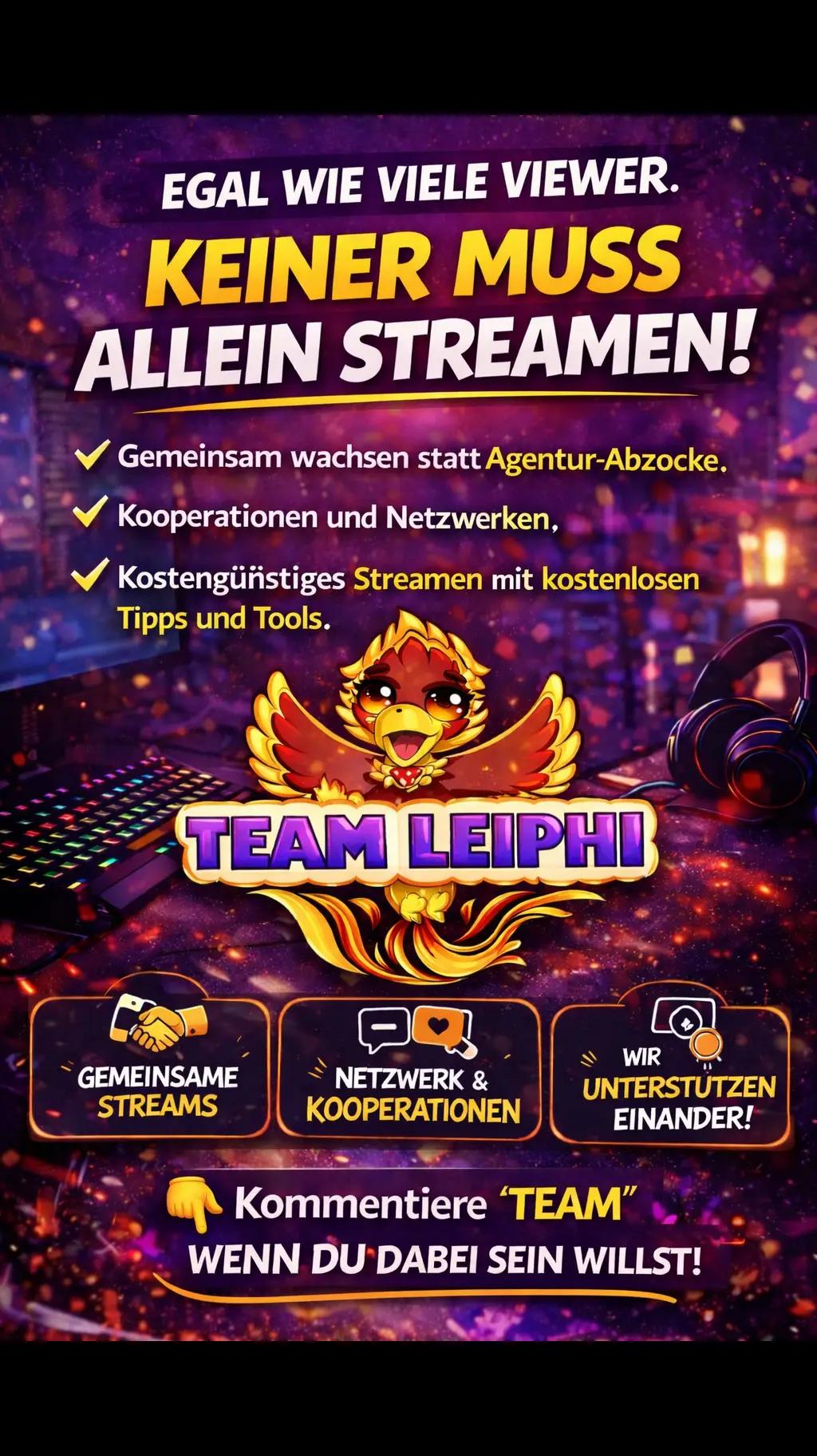 @Team Leiphi