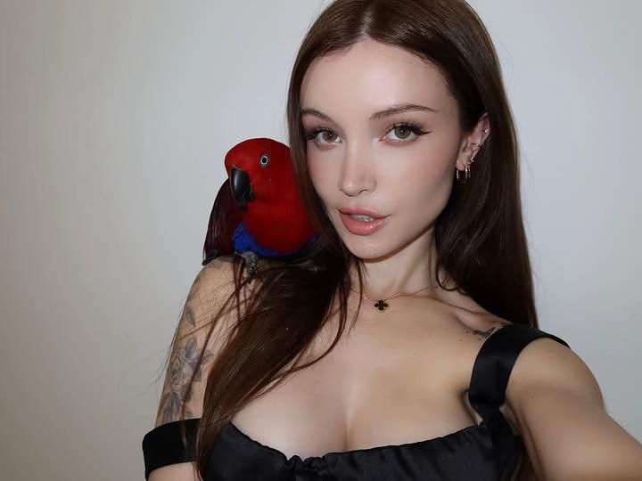 @dainty_wilder0