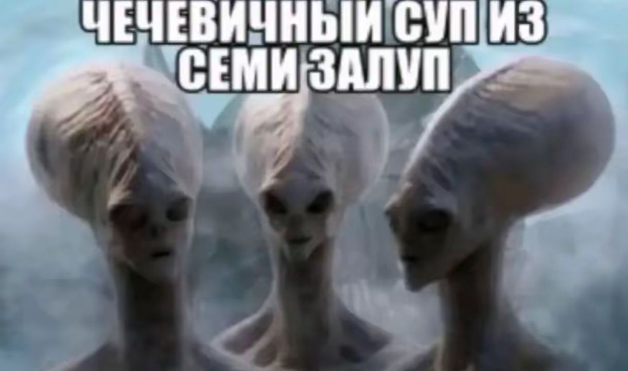 @тгк: daysgoida