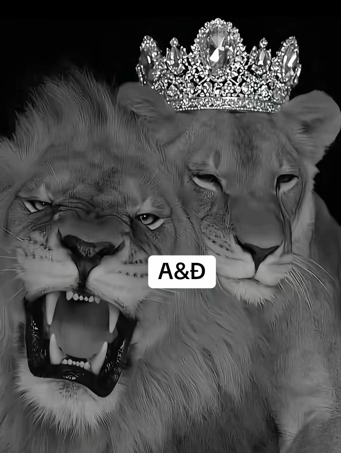 @ALEN🤴