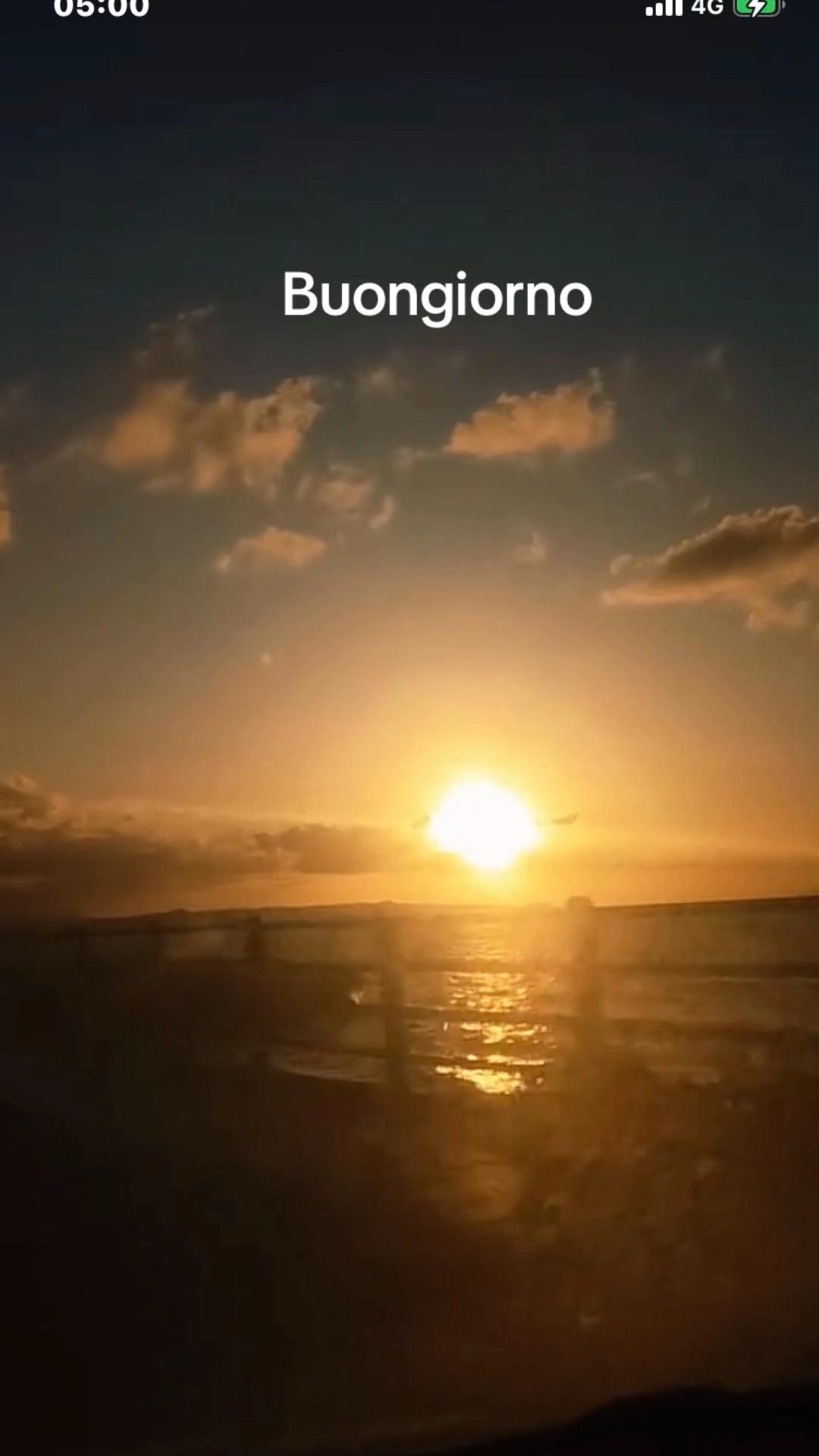 @rosariorizzolo578