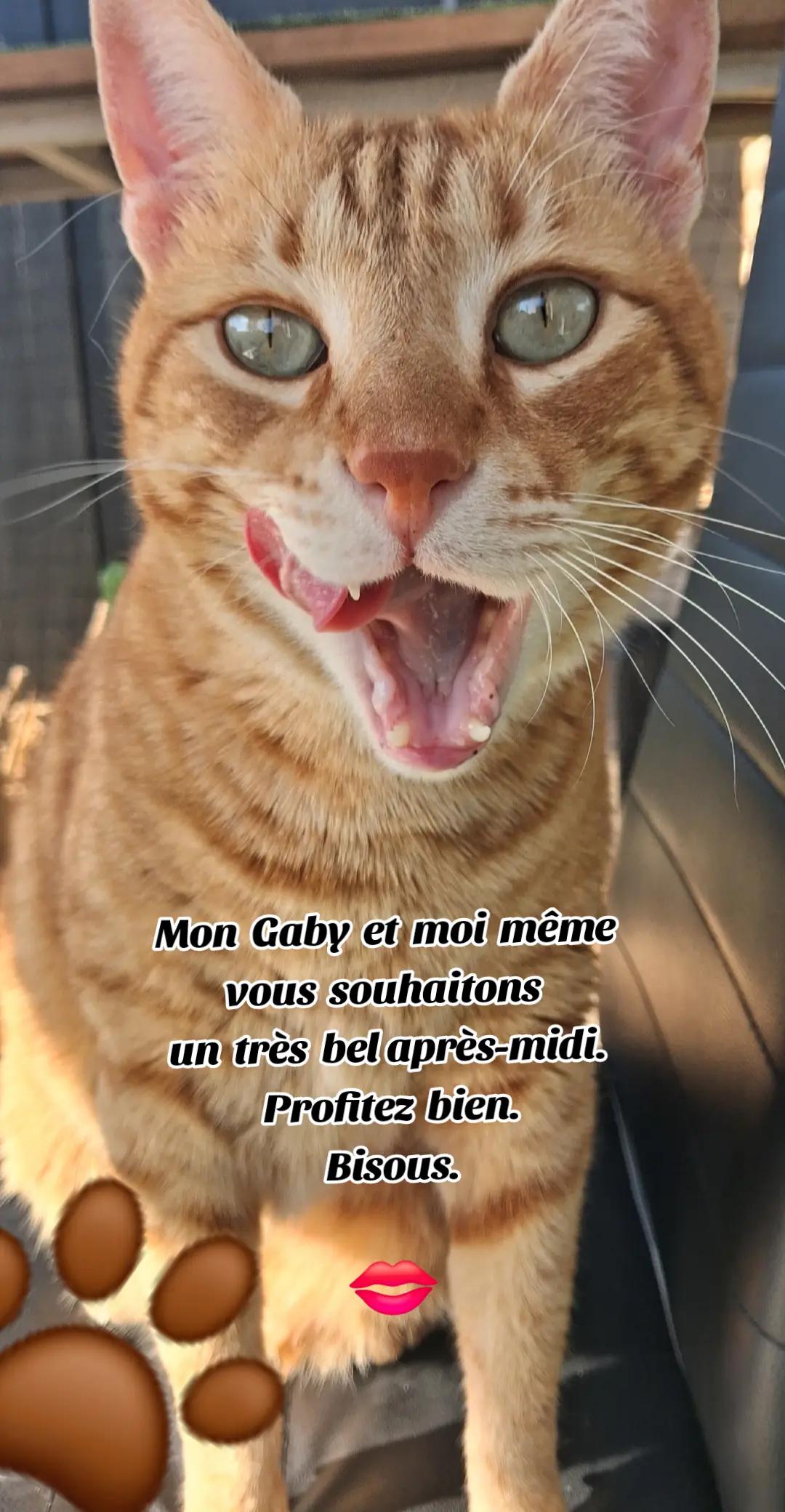 @🌹Douce&passionnée 🌹