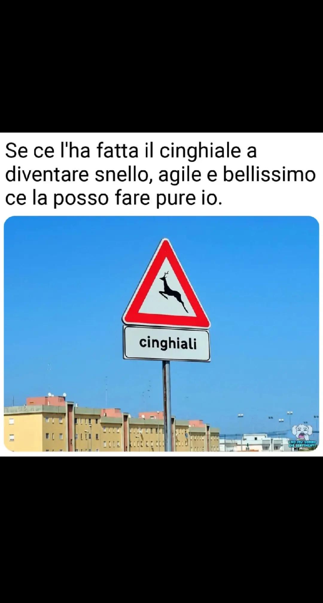 @Elisa Biondi851