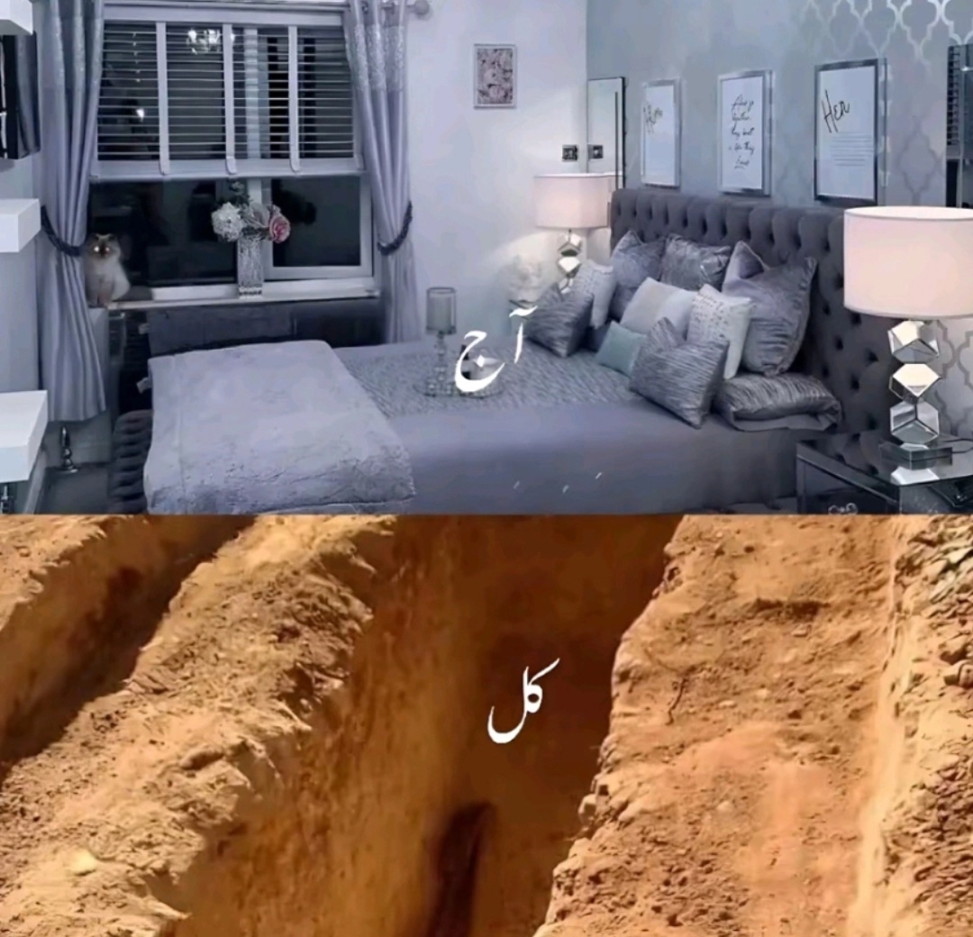 @پہلوان والا 🦅