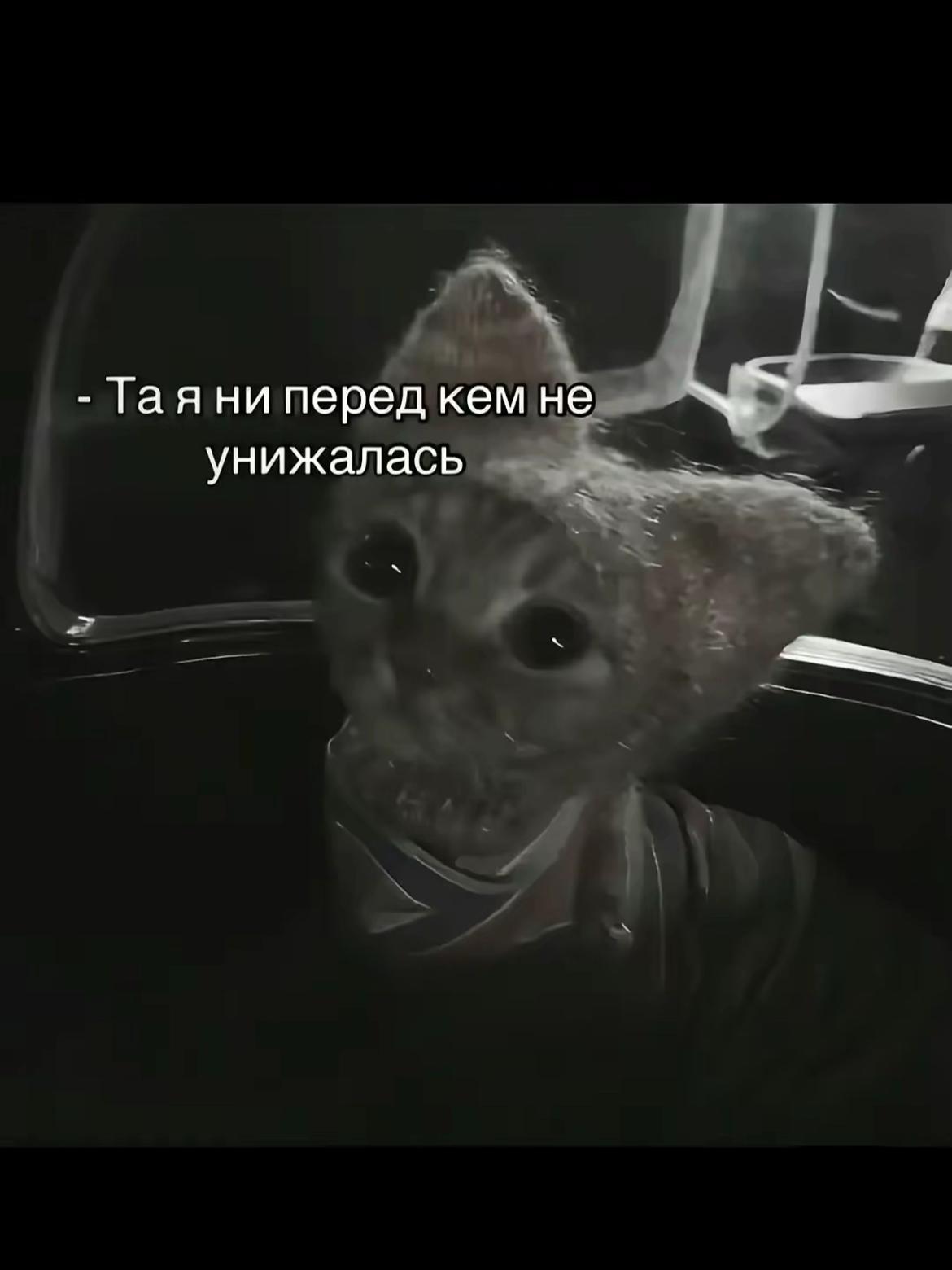 @ʍᴀɯ🪽