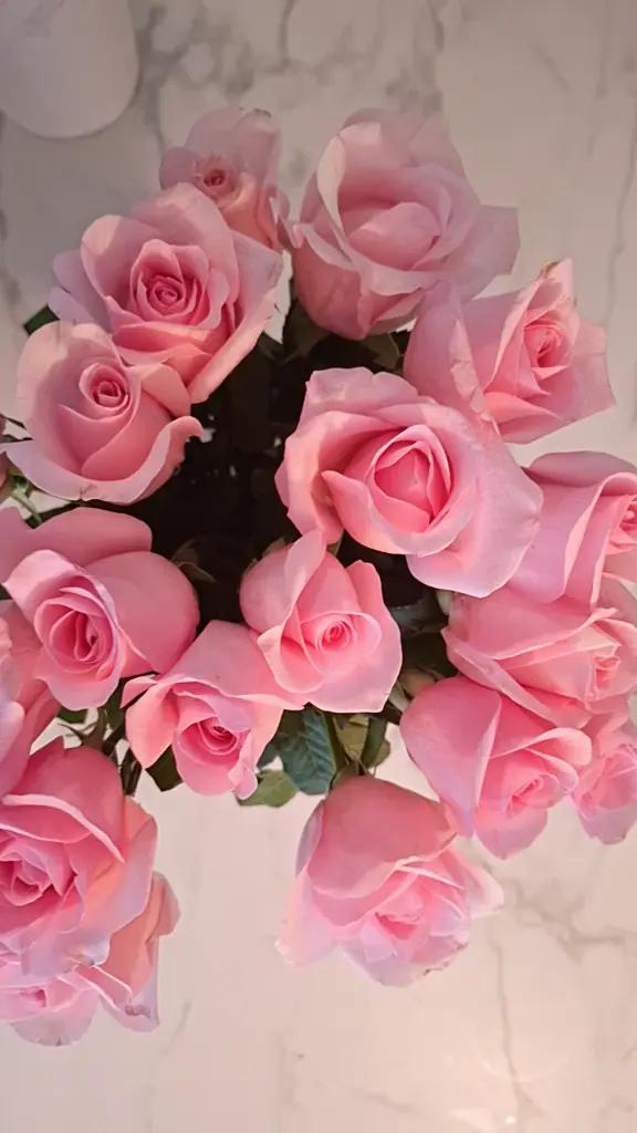 @Mayelaine Directora Mary Kay🌸