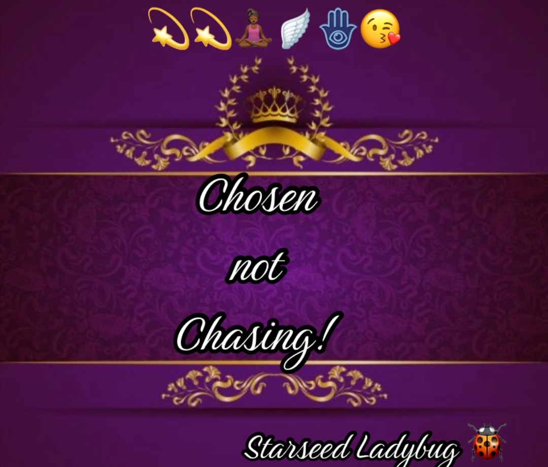 @Starseed Ladybug