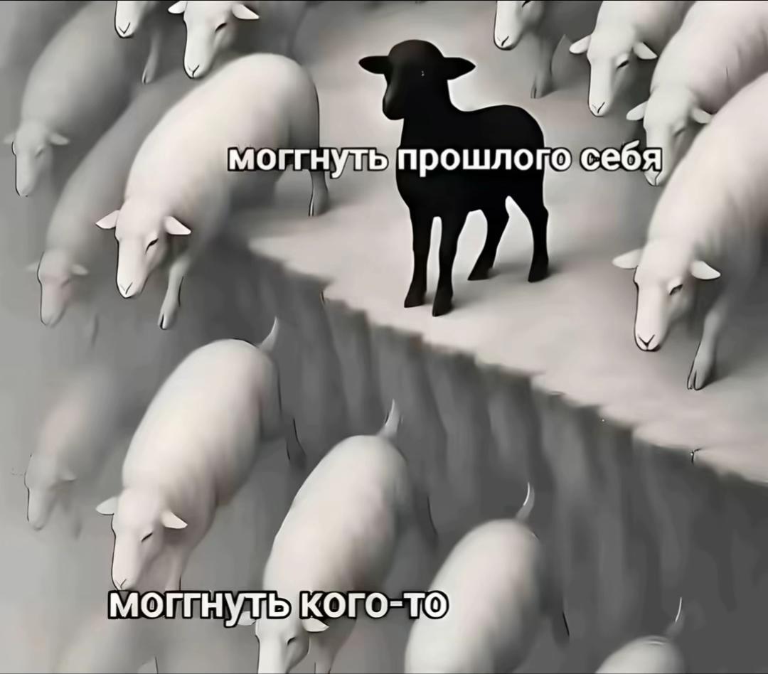 @тгк: кристинка плывет🏊🏻♂️