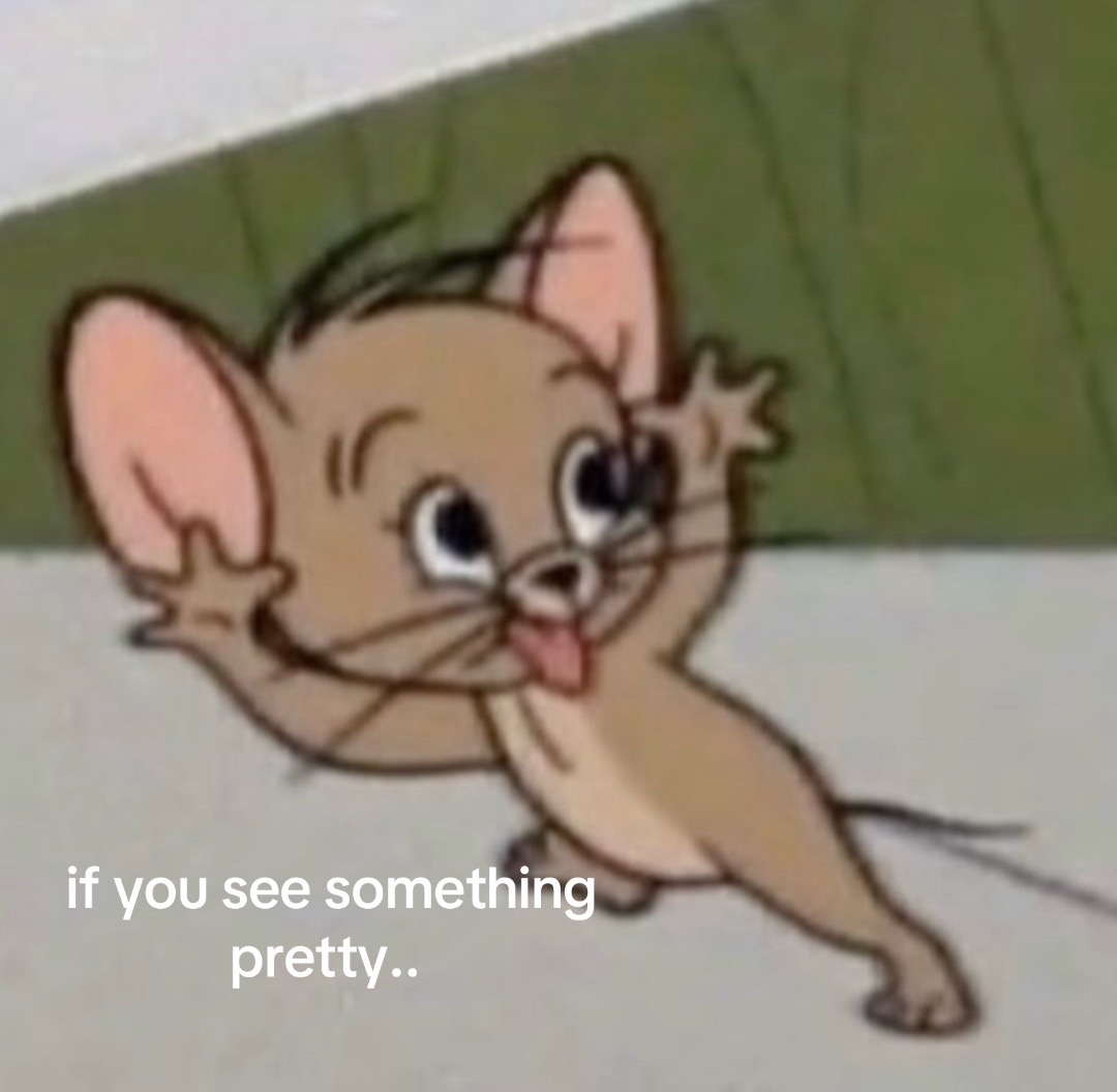 @kamali