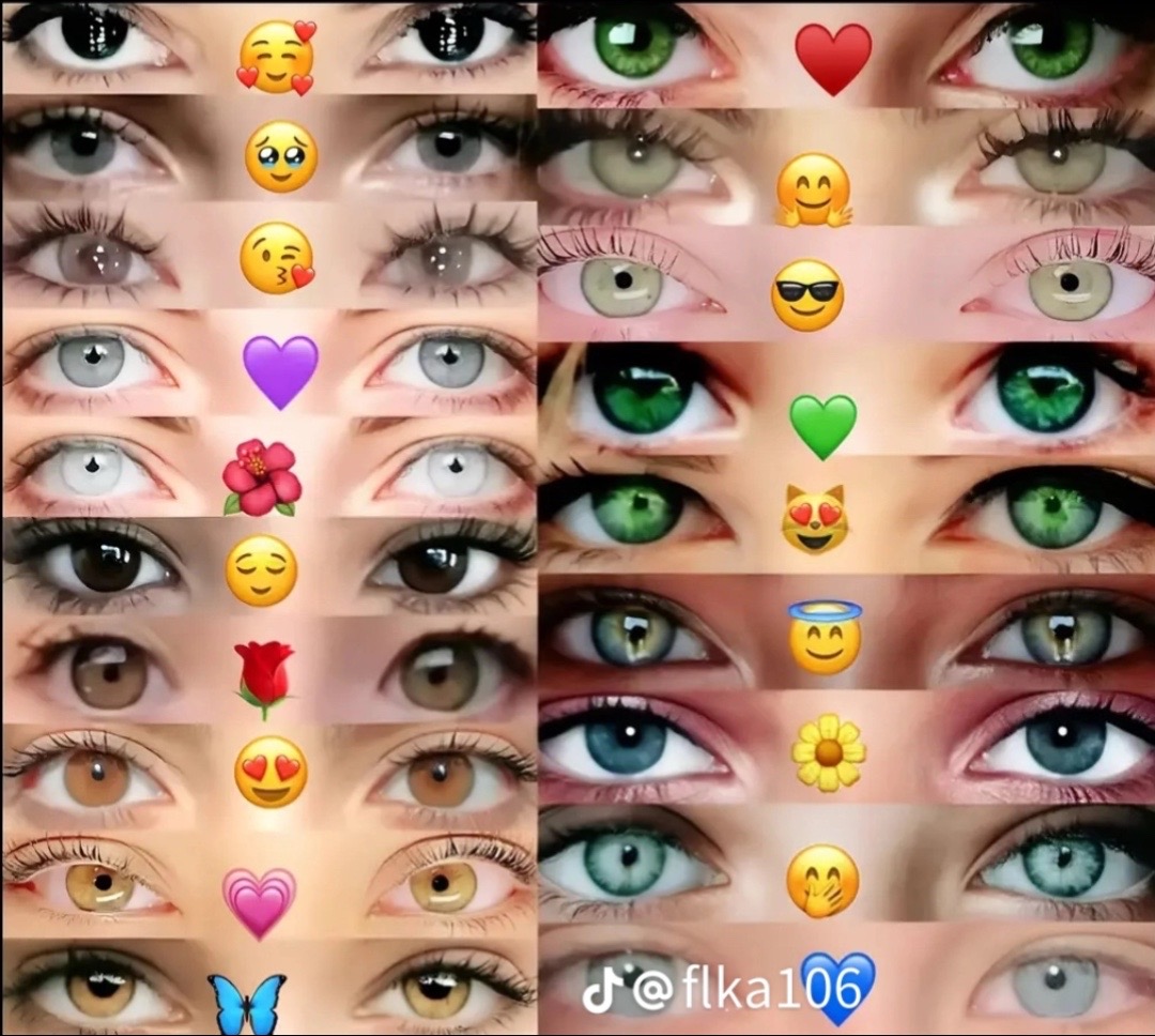 @๐ฆ๐า๐ผ๐ฝ๐ฎ๐ฏ๐ช๐ท๐๐ฅ
