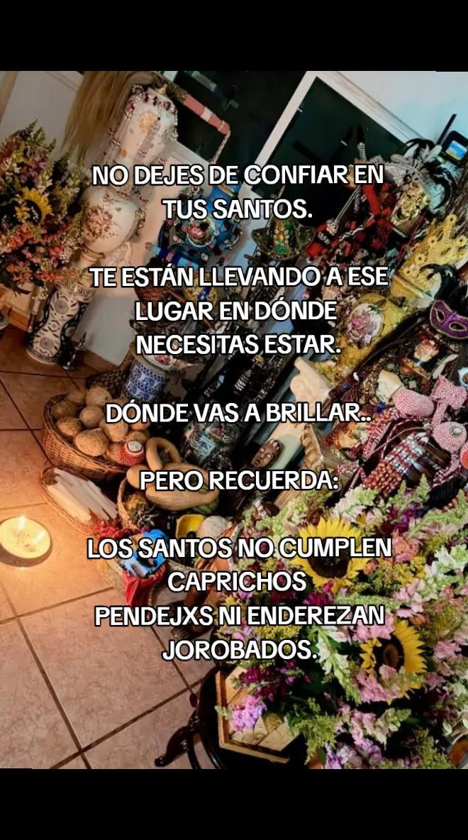 @Fernandaa RH🕷️