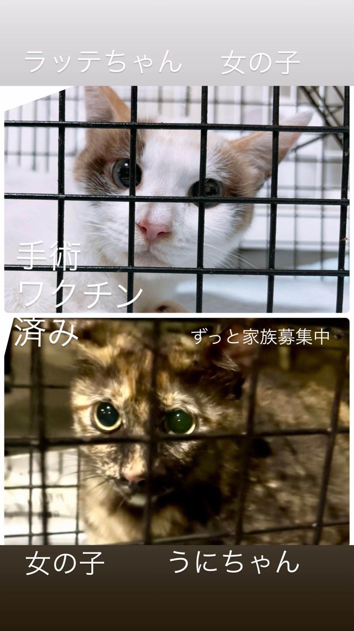 @そぉーちゃん🍷🐈soochan