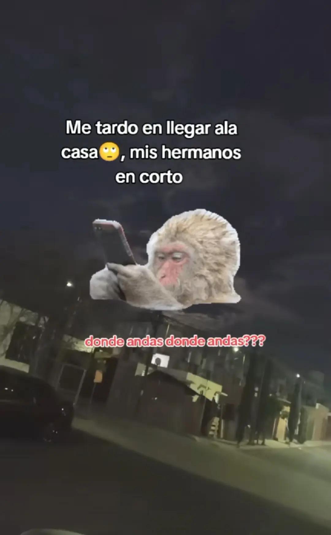 @merryjane