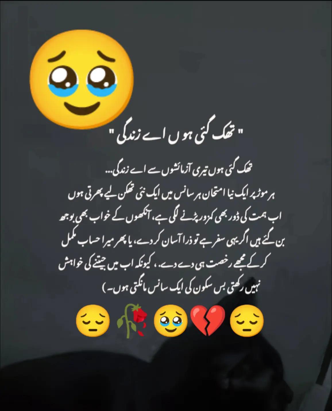 @Hassan Hussain💞