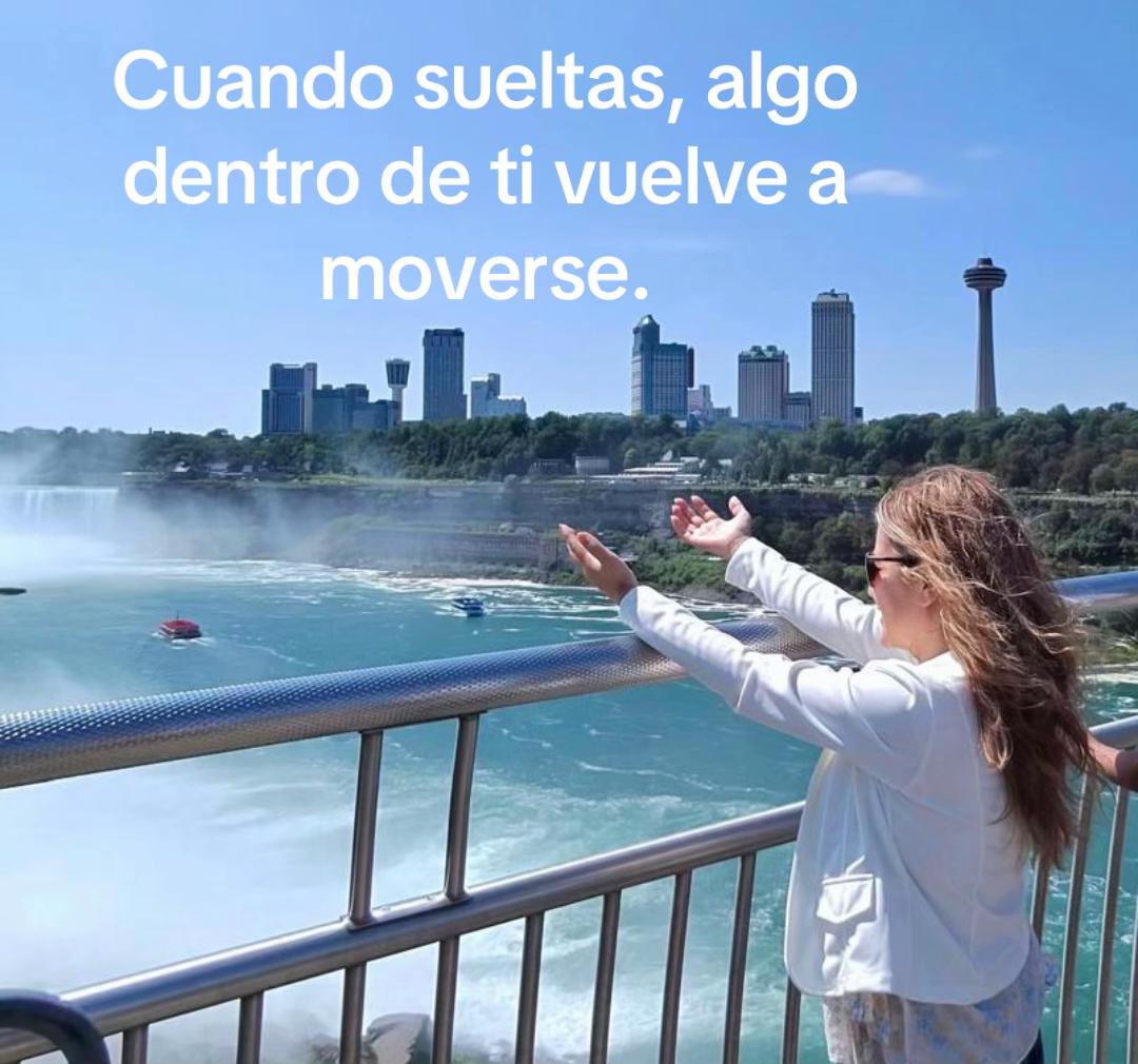 @soniabonillaraizluminosa