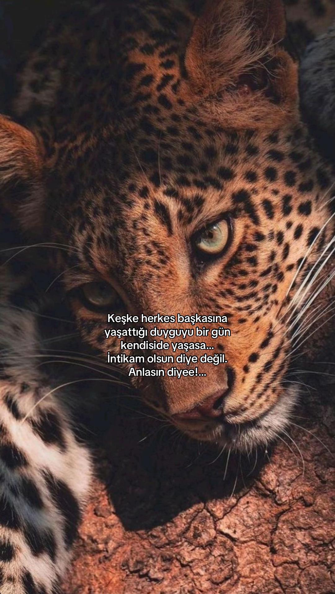 @Atarlı Kadın