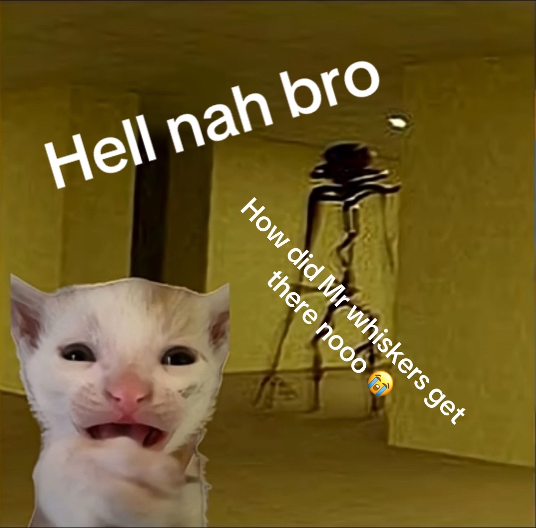 @I accidentally shat on my cat