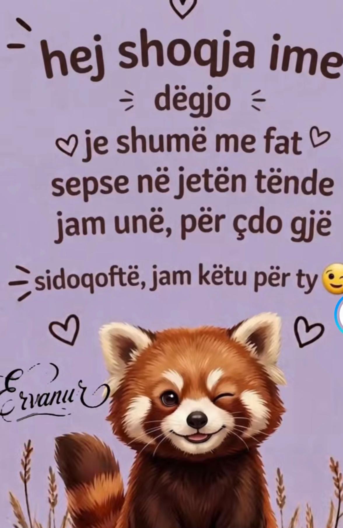 @ajo goca