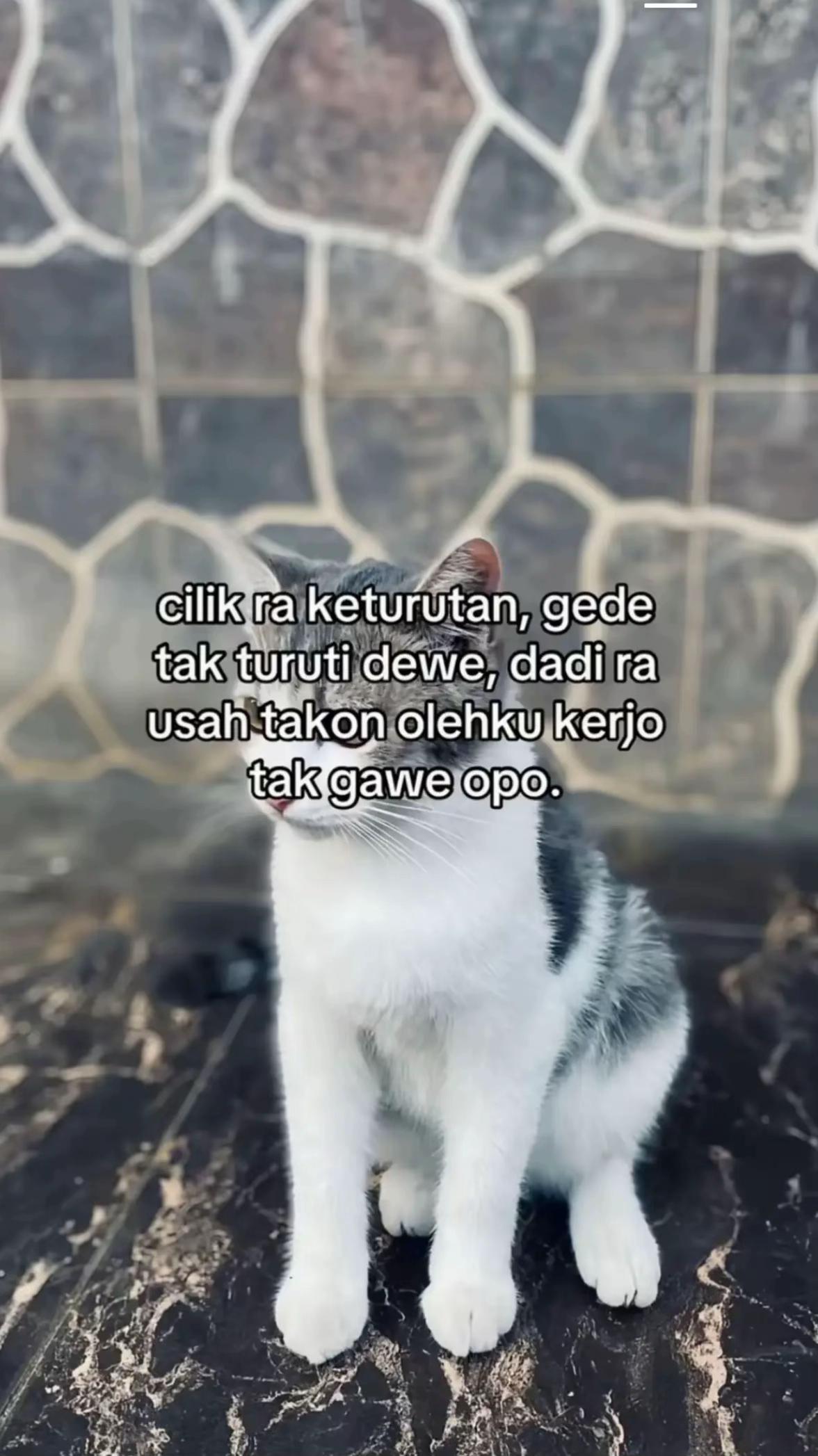 @stenky🥶❤️🔥
