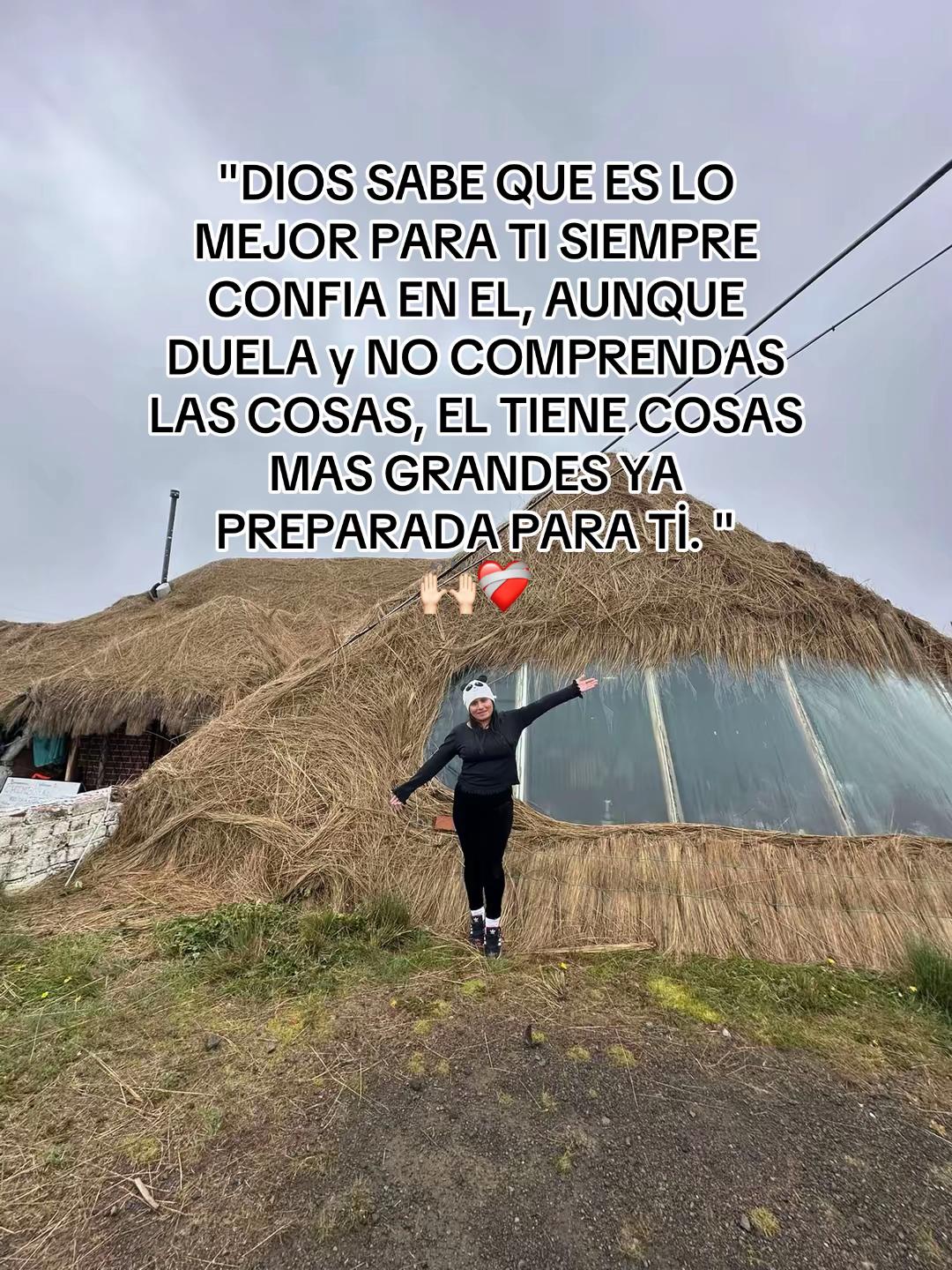 @🐼