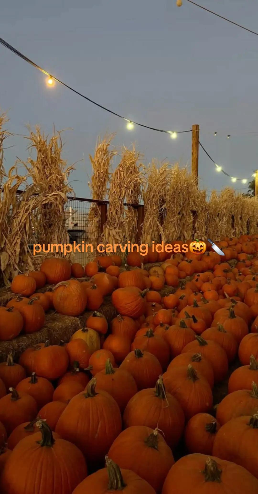 @FrightToFestive