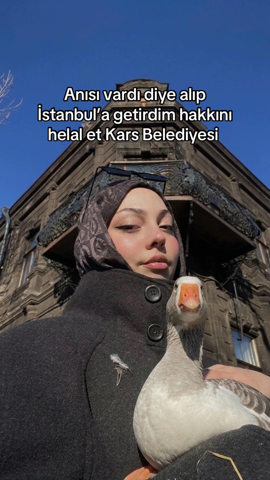 @Es&ouml;