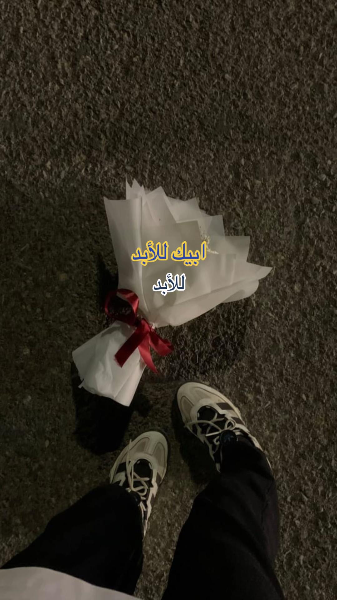 @ڛۣـــ؏ـــﯡو | 🏂 &bull;.