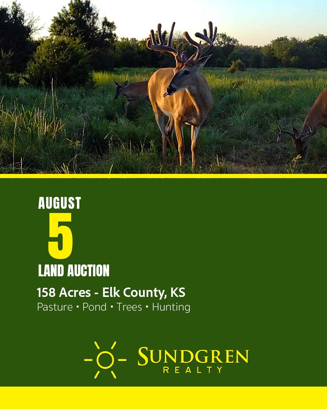 @Sundgren Realty & Auction