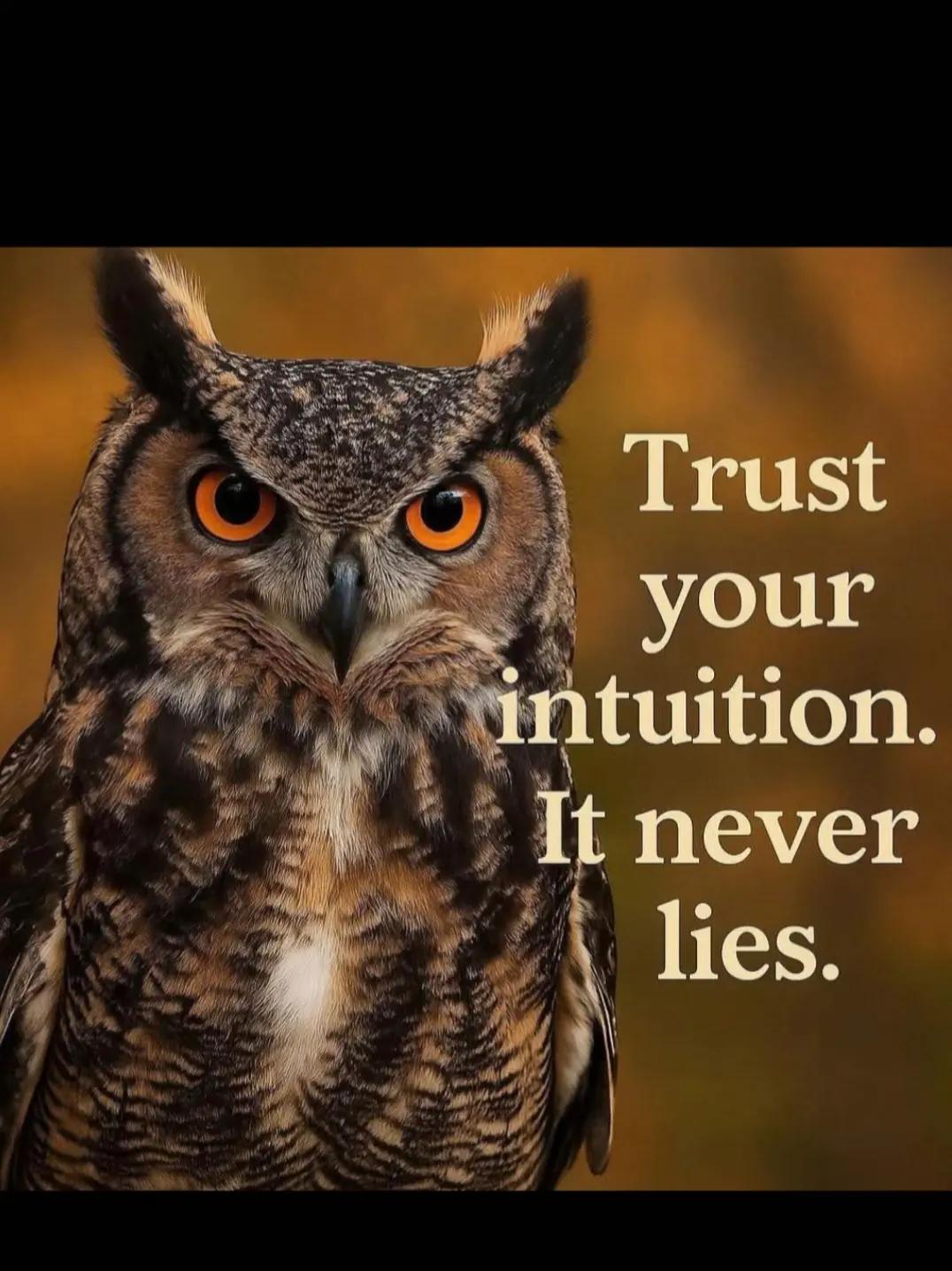 @Birddaddy🦜🦉🦅