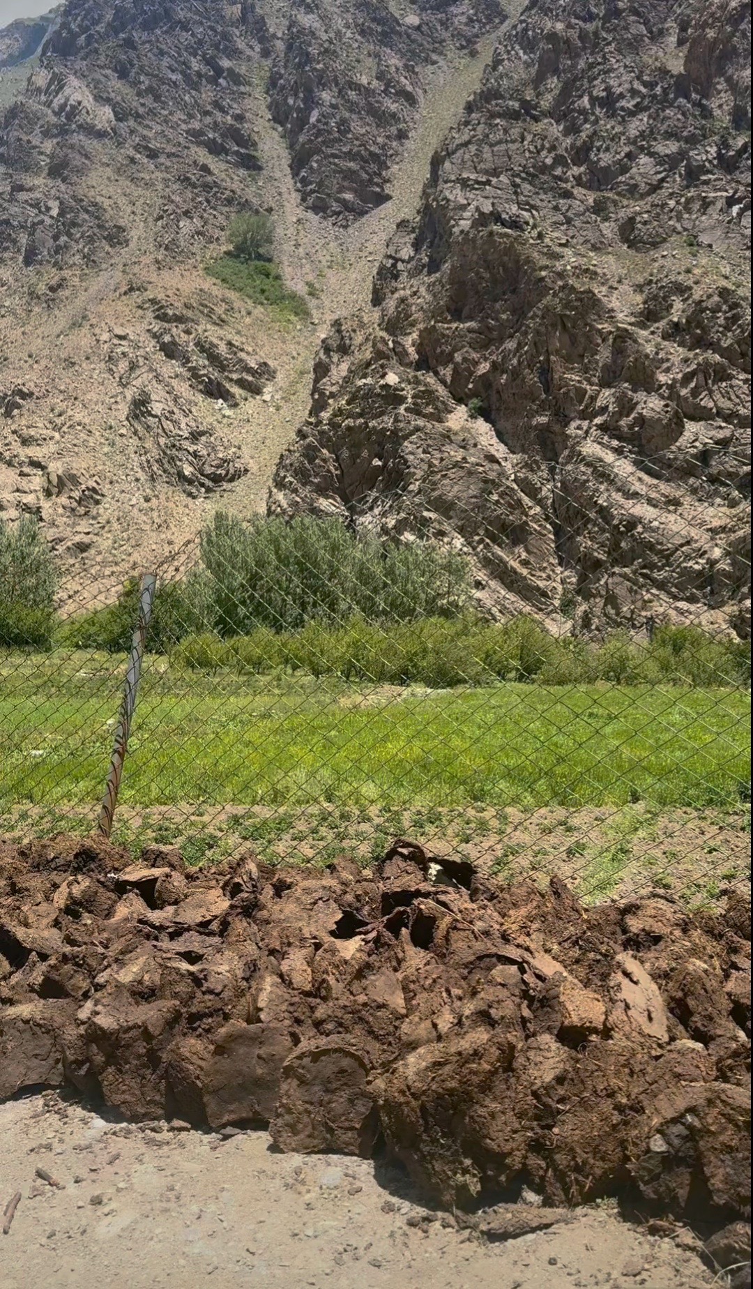 @Aishadajoint🇦🇫