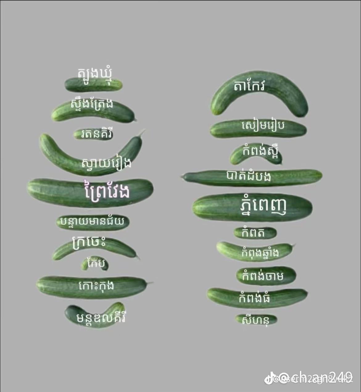 @ប្រូវុទ្ធ ព្រៃវែង💔🧸