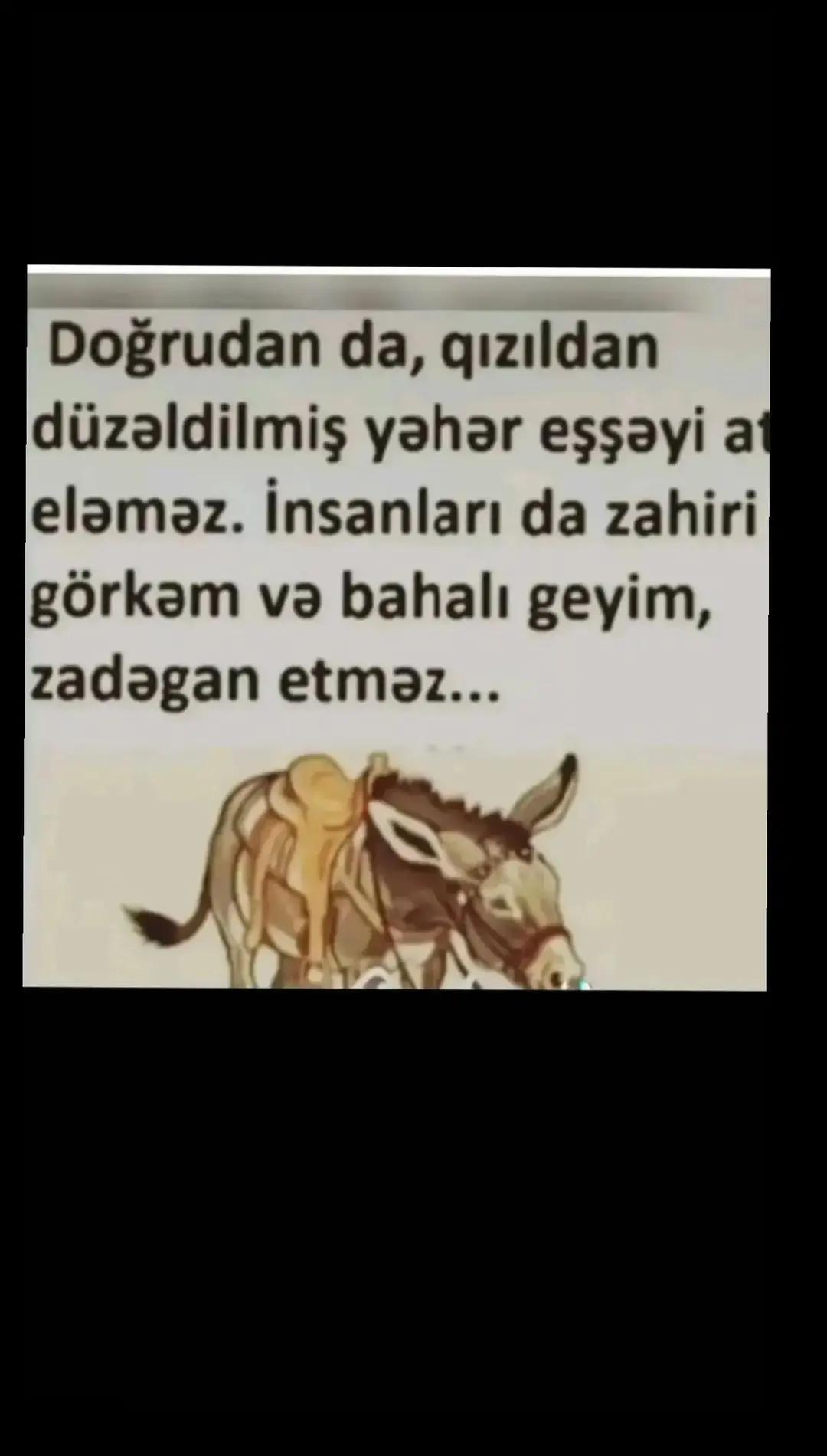 @🦁SUSKUN🦁