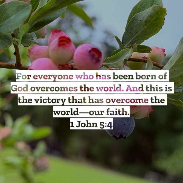 @pastorvern