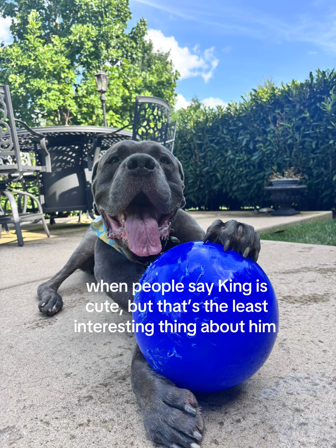 @King