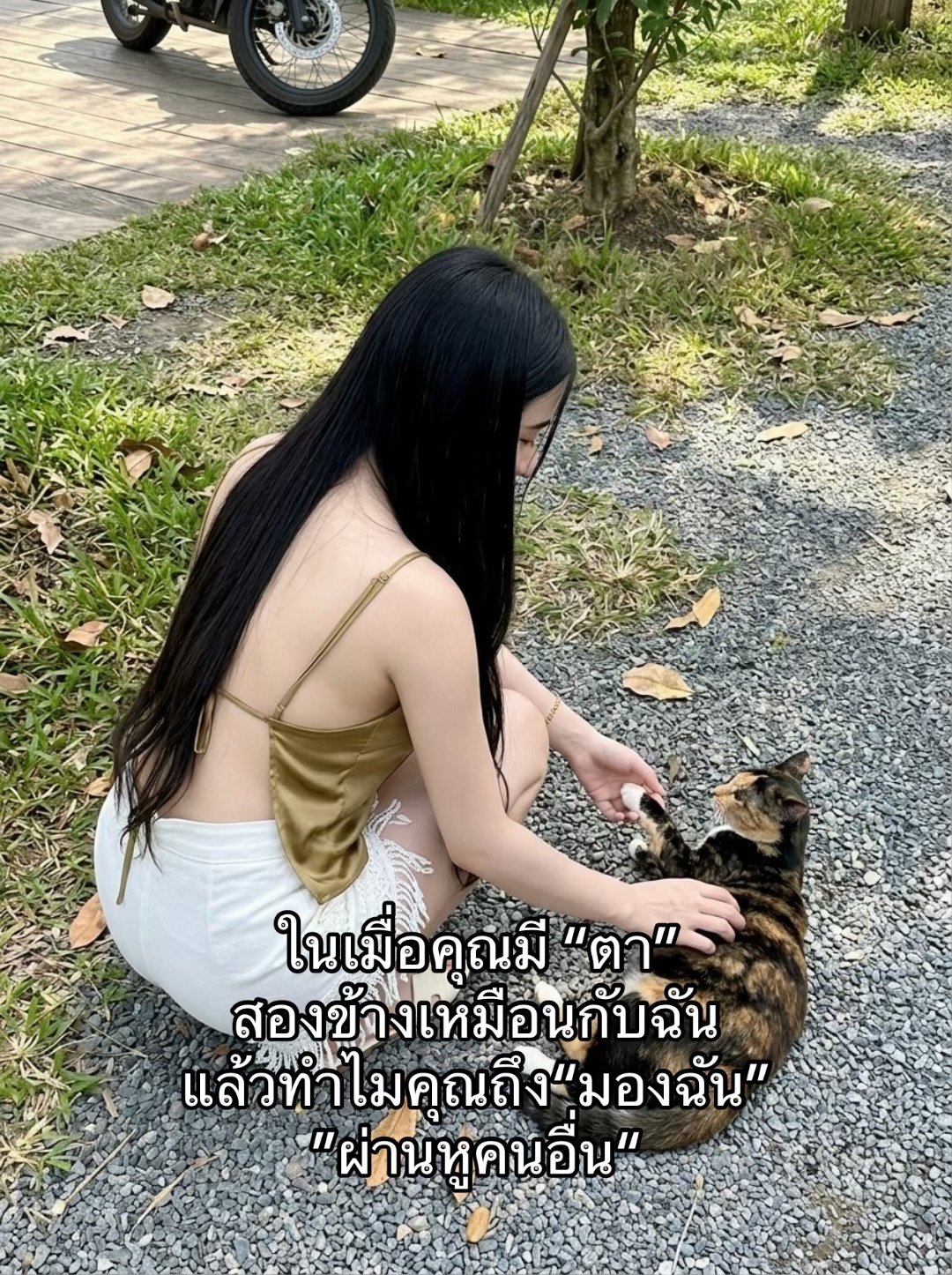 @Biwty