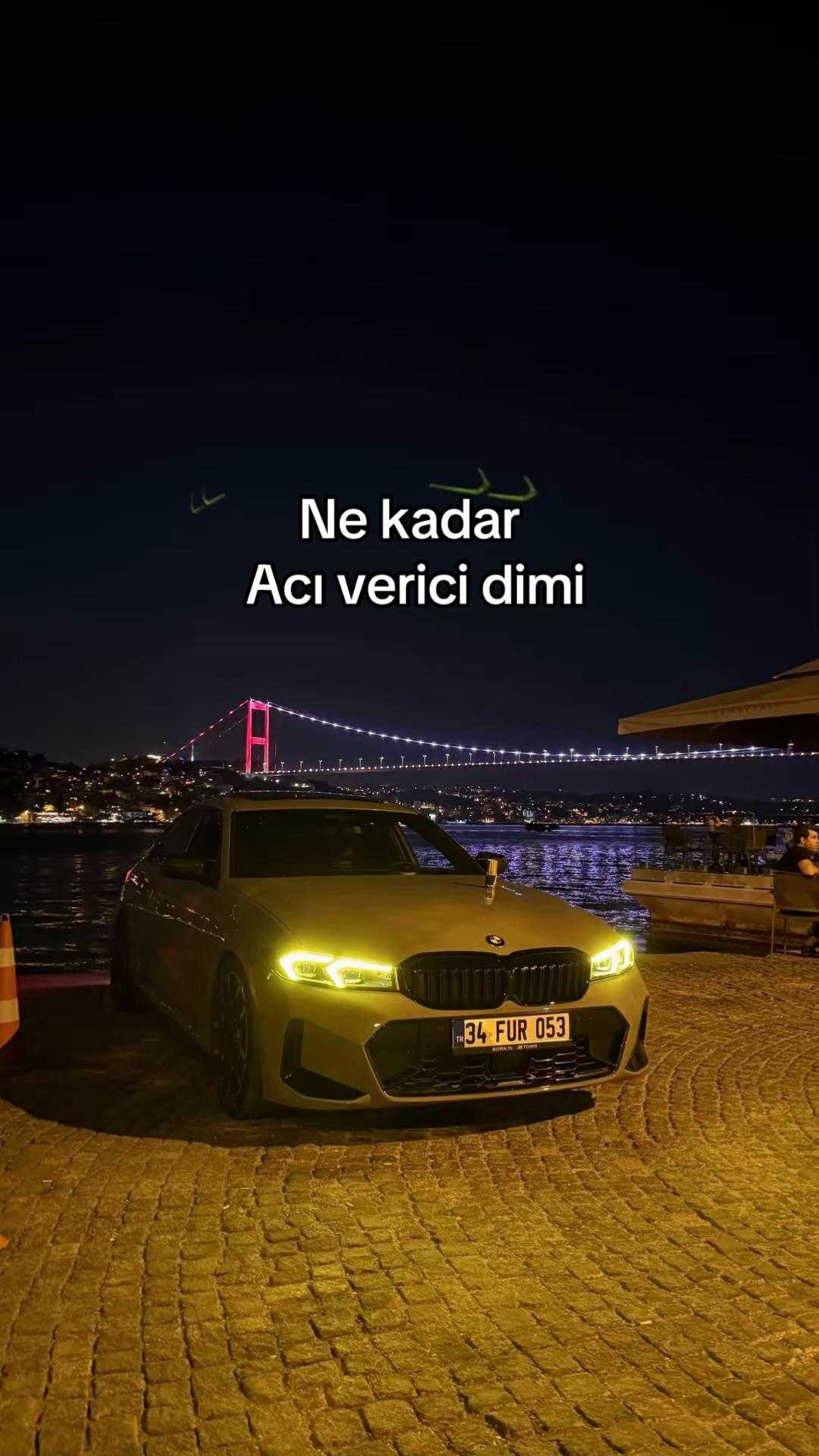 @FUR53