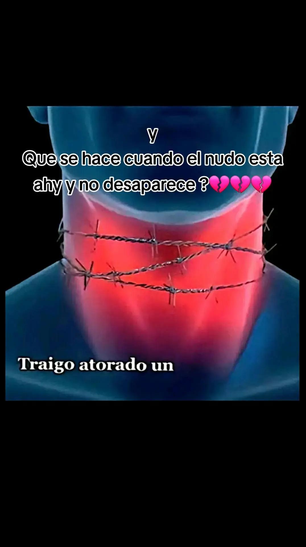 @Daniela504🤝